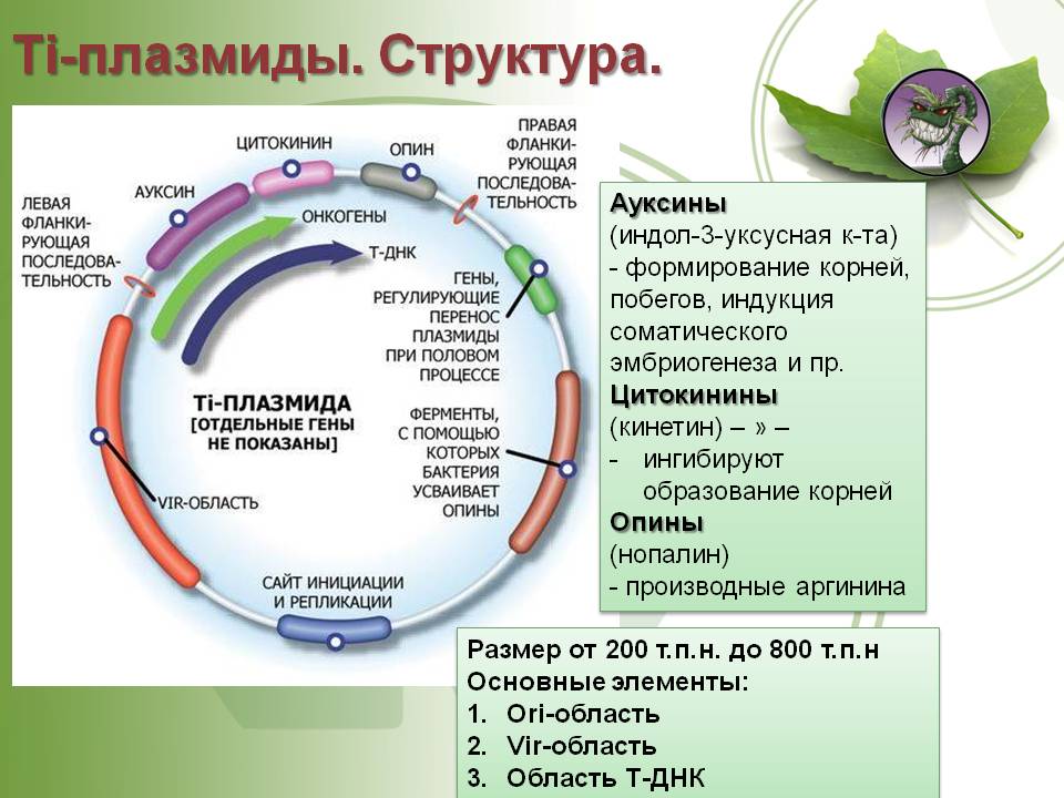 Кракен магазин kraken4am com